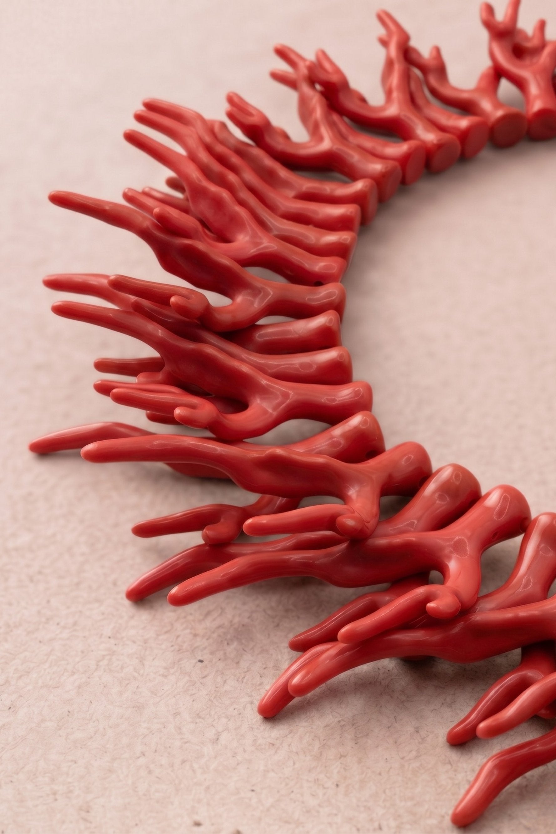 Collar Coral