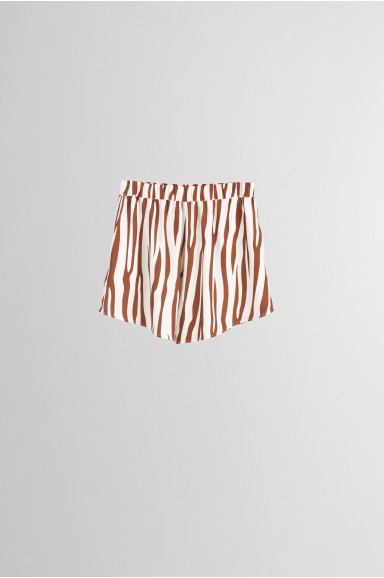 Short Zebra