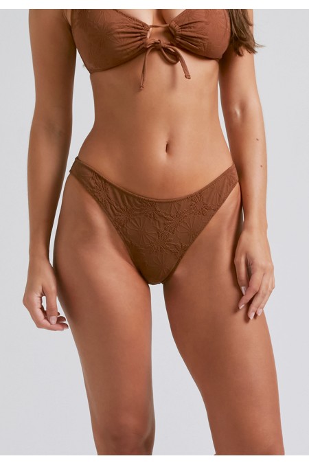 Braguita Caramel|Robin Collection