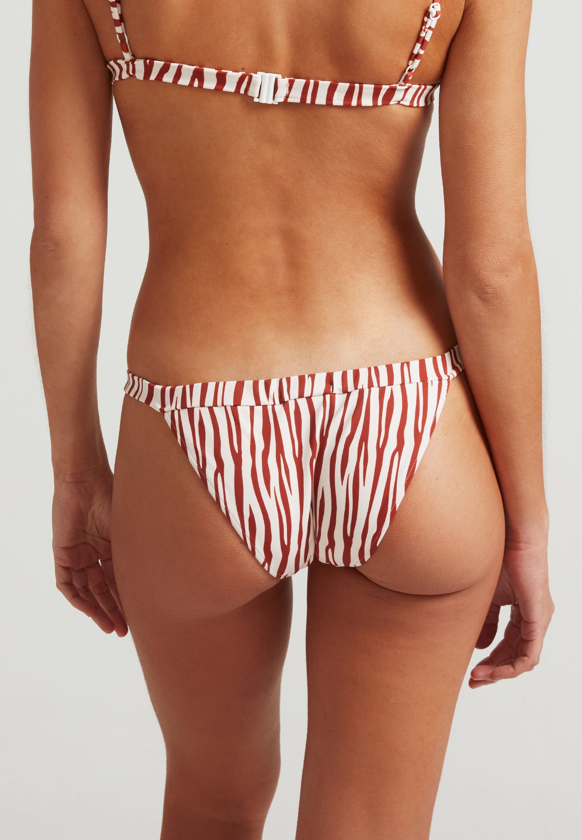 Braga Bikini Clásica Zebra (-60% aplicado en el checkout)